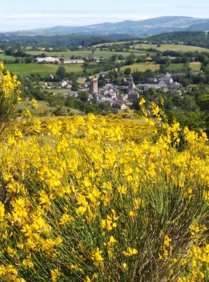 Le Gite De La Vieille Eglise De Coussergues Exteriér fotografie